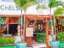 Chelsea Haban Vieja Cuban Cuisine